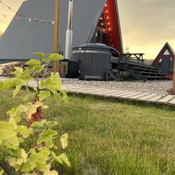 Фото Отель Страна Оз