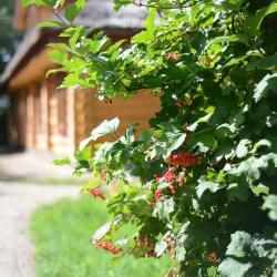 Фото Отель Ярославна