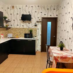 Фото Апартаменты на улице Краснозвездная 25