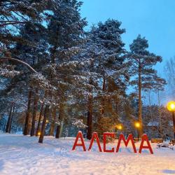 Фото Отель Алсма