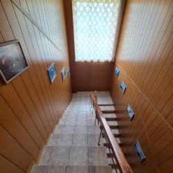 Фото Отель Лесная жемчужина