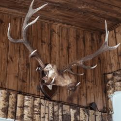 Фото Отель Фрирайд