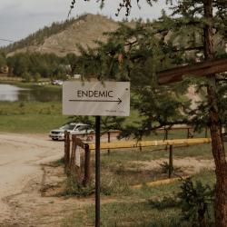 Фото Отель Endemic (Эндемик)