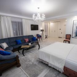 Фото Отель Метелица