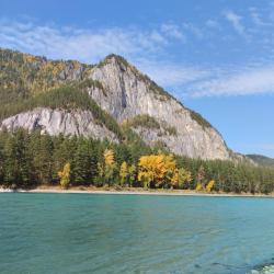 Фото Отель Greenhouse (Гринхаус)