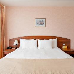 Номер стандарт комфорт №4 с 1 двуспальной кроватью