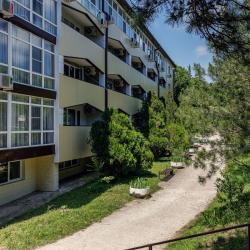 Фото Отель Ателика Лесная бухта