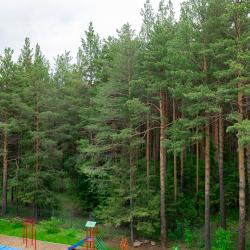 2-местный номер стандарт улучшенный