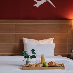 2-местный номер стандарт Extra Space с балконом и видом на горы