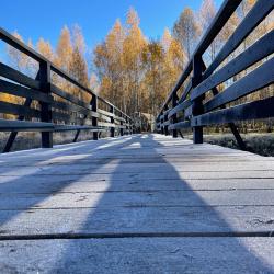 Фото Отель Шепот