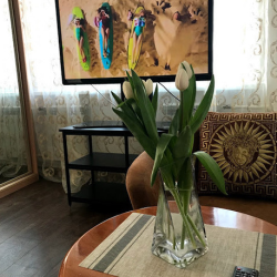 Фото Отель Рент на улице Толстого