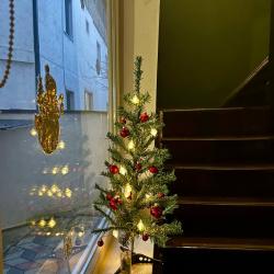 Фото Отель GreenWall (Гринволл)