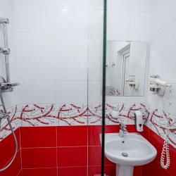 Номер делюкс с 1 двуспальной кроватью (вид на бассейн)