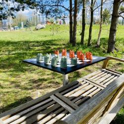 Фото Отель Дачники