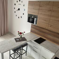 Фото Апартаменты на Суздальском шоссе 18к4