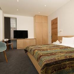 Номер делюкс стандарт с 1 двуспальной кроватью