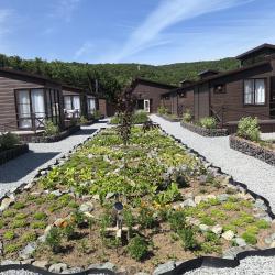 Фото Отель Вилла де Марина