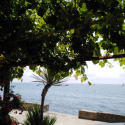 Фото Отель Ариода