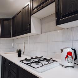 Фото Отель Tolstoy Apart (Толстой Апарт) на проспекте Красноармейский