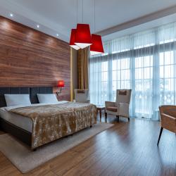 Стандарт с видом на горы