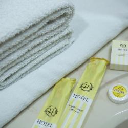 Фото Отель Азия (Asia)