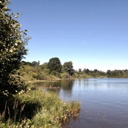 Фото Отель Стильный коттедж у озера