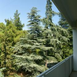 Номер стандарт с видом на парк