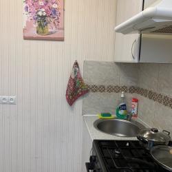 2-комнатные апартаменты стандарт Россия, Пермь, Сибирская улица, 53