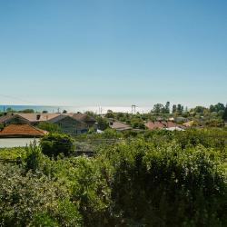 Фото Отель Гостевой дом Бонано