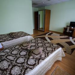 Номер стандарт с 2 односпальными кроватями (с завтраком)