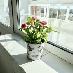 Фото Отель ЖивиТУТ на проспекте Ленина