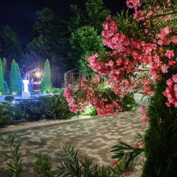 Фото Cosmos Smart Sochi Tivoli Hotel (Космос Смарт Сочи Тиволи Отель)
