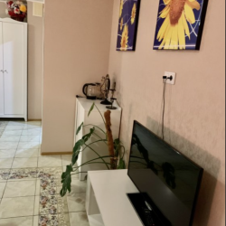 Фото Отель Звездочка