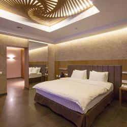 Номер стандарт с 1 двуспальной кроватью (без окна)