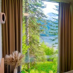 Фото Отель Телецкое Золотое