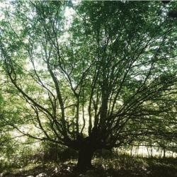 Фото Отель База отдыха Страна души