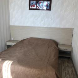 Фото Отель Ока