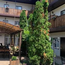 Фото Отель Амалия