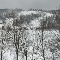 Фото Отель Дом Ялоранта на улице Прибрежная 33