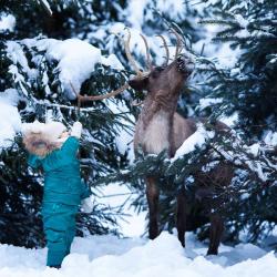 Фото Отель Shagal Chalet (Шагал Шале)