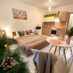 1-комнатные апартаменты студия