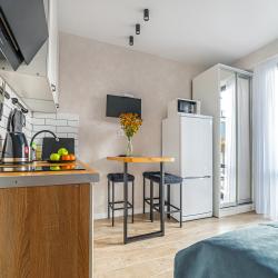 Апартаменты студия Вознесенская 3а/22