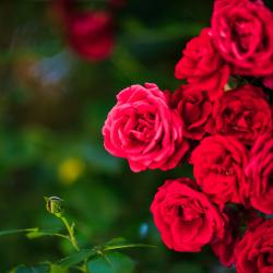 Фото Отель Панорама