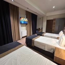 3-местный 1-комнатный номер стандарт (мансарда)