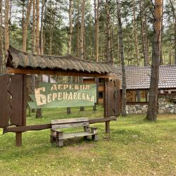 Фото Отель Деревня Берендеевка