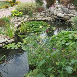 Фото Отель Магнолия