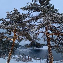 Фото Отель Lago Ladoga (Лаго Ладога)