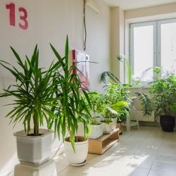 Фото Отель Сутки-Дом на улице Белинского