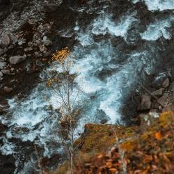 Фото Отель Юлена