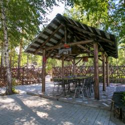 Фото Парк-отель Чайка